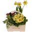 Blumen und Pflanzen in einem Korb