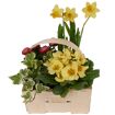 hauptbild