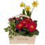 Blumen und Pflanzen in einem Spankorb