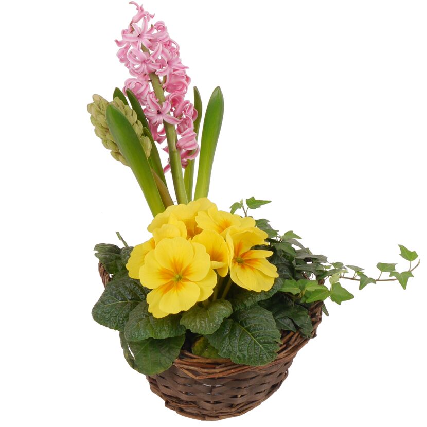 Gelbe und rosa Blumen in einem Weidenkorb.