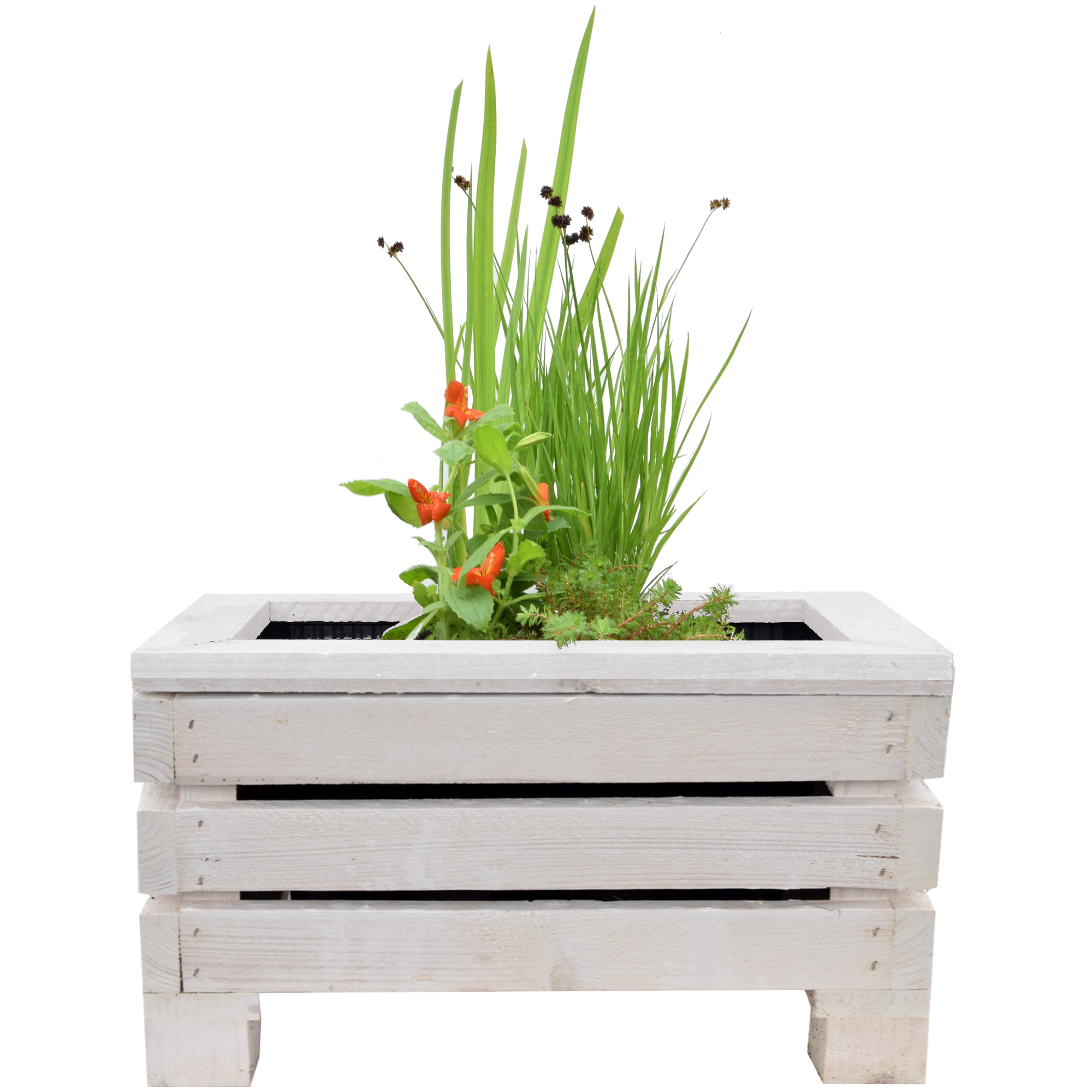 Miniteich-Set mit 4 Pflanzen und Teichkiste weiß 45 x 32 x 21 cm + product picture