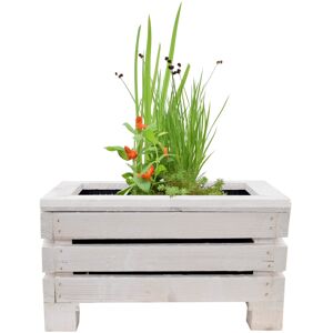 Miniteich-Set mit 4 Pflanzen und Teichkiste weiß 45 x 32 x 21 cm