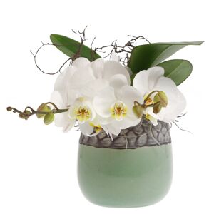 Orchideen-Arrangement 1 weiße Orchidee im grau-grünen Topf