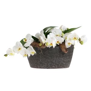Orchideen-Arrangement 2 weiße Orchideen im dunkelgrauen Topf