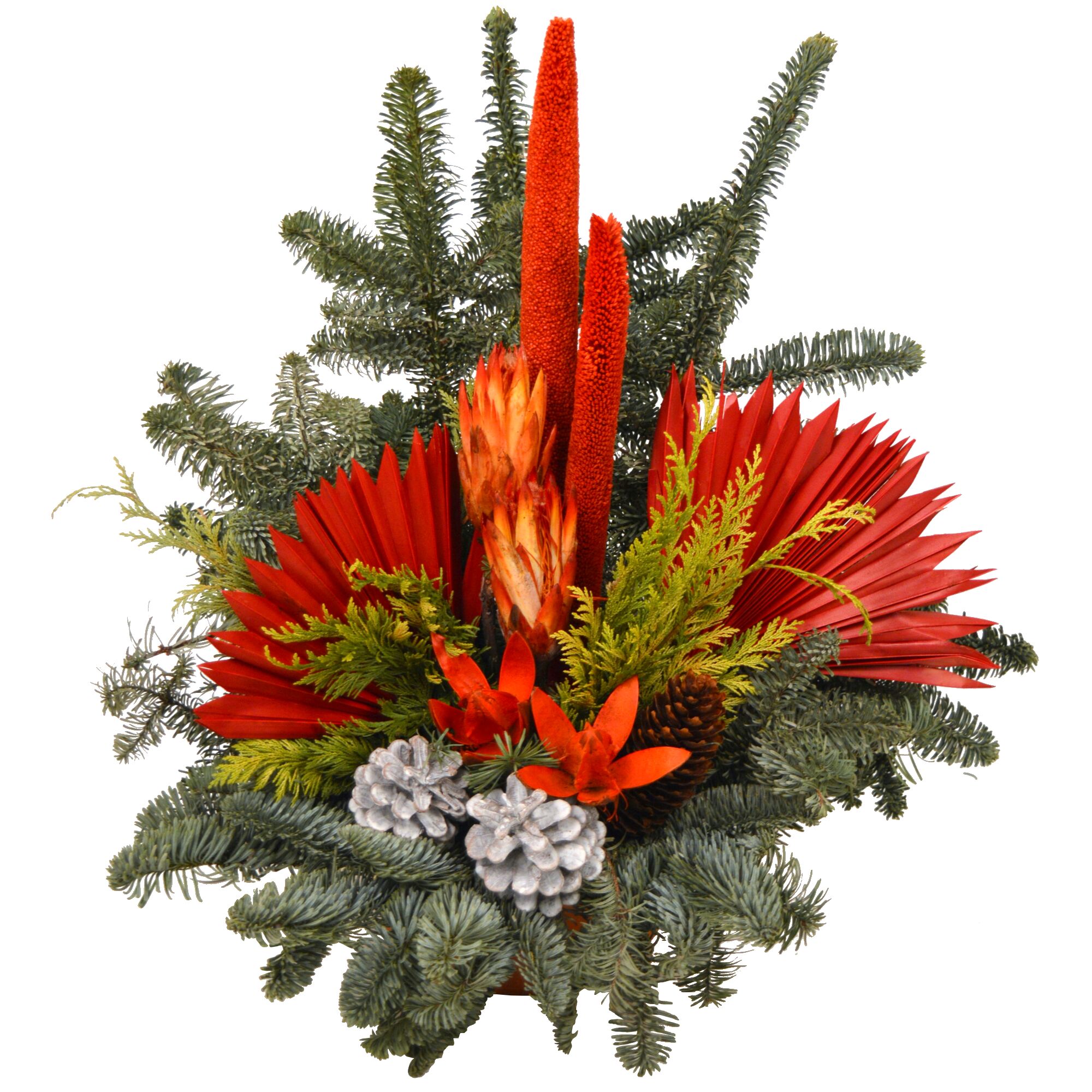 Weihnachtliche Waldschale mit roten und orangen Trockenblumen, Tannenzapfen und Tannengrün.