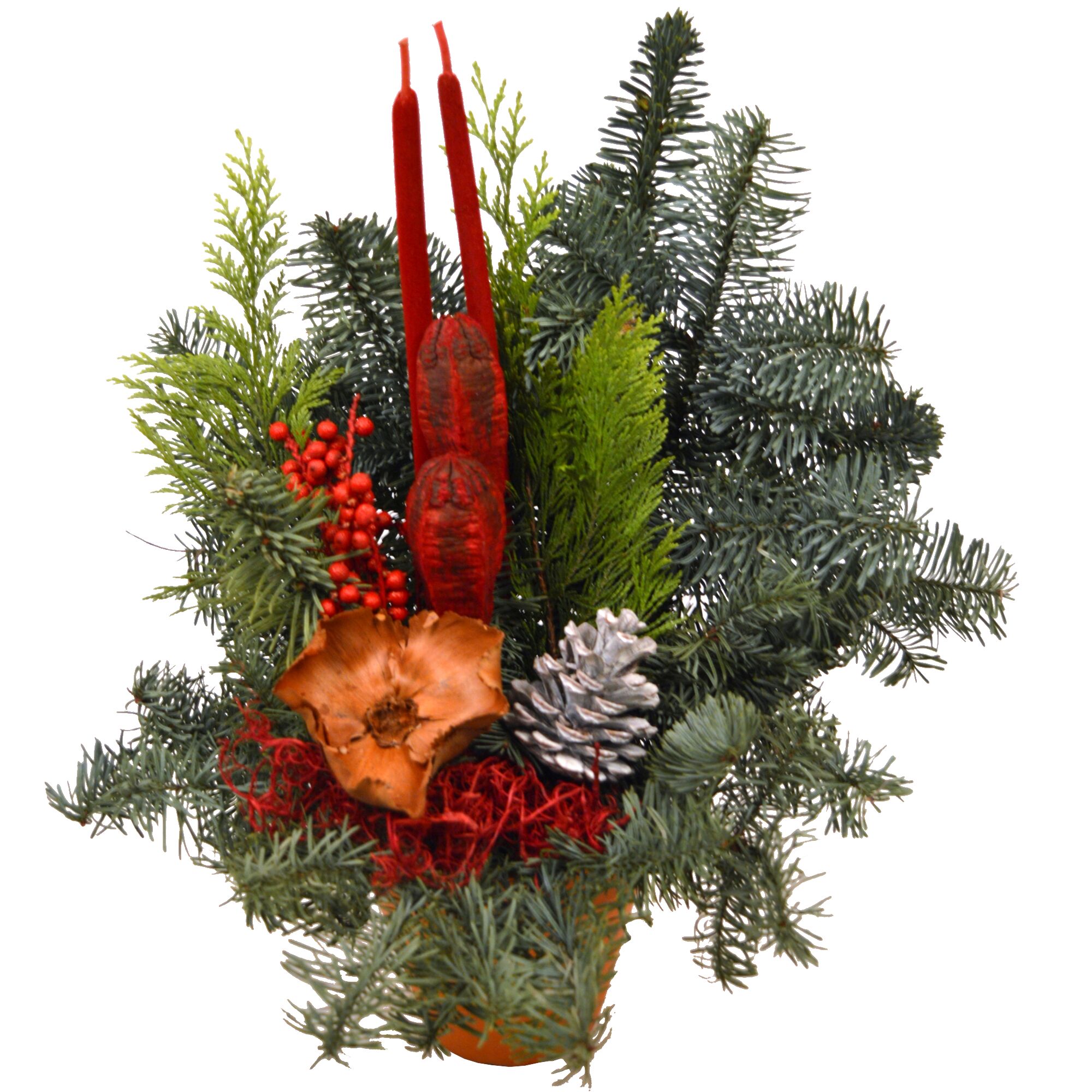 Tontopfgesteck mit Tannenzweigen, Beeren und Zapfen