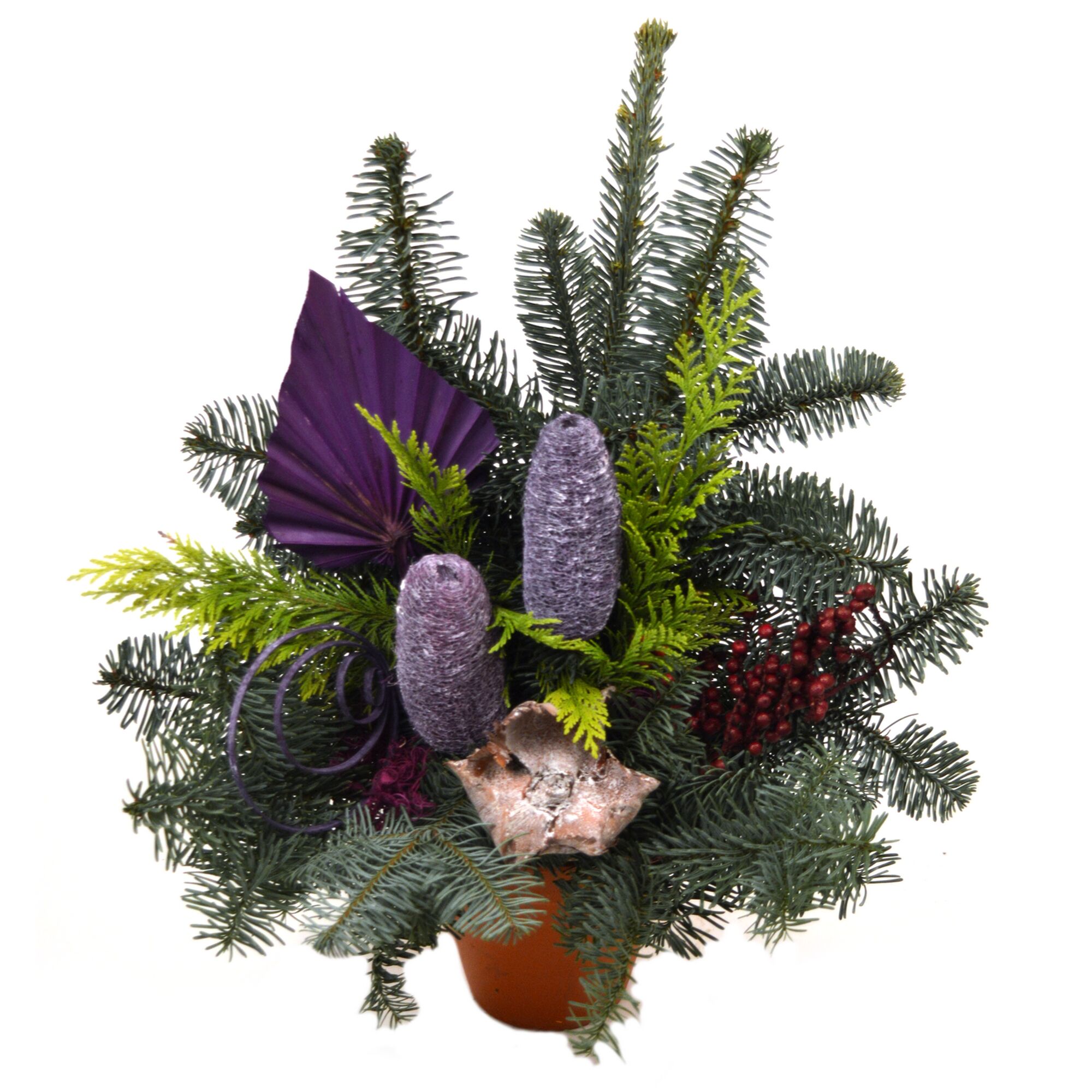 Tannenzweige, lila Dekoration und Beeren in einem Topf