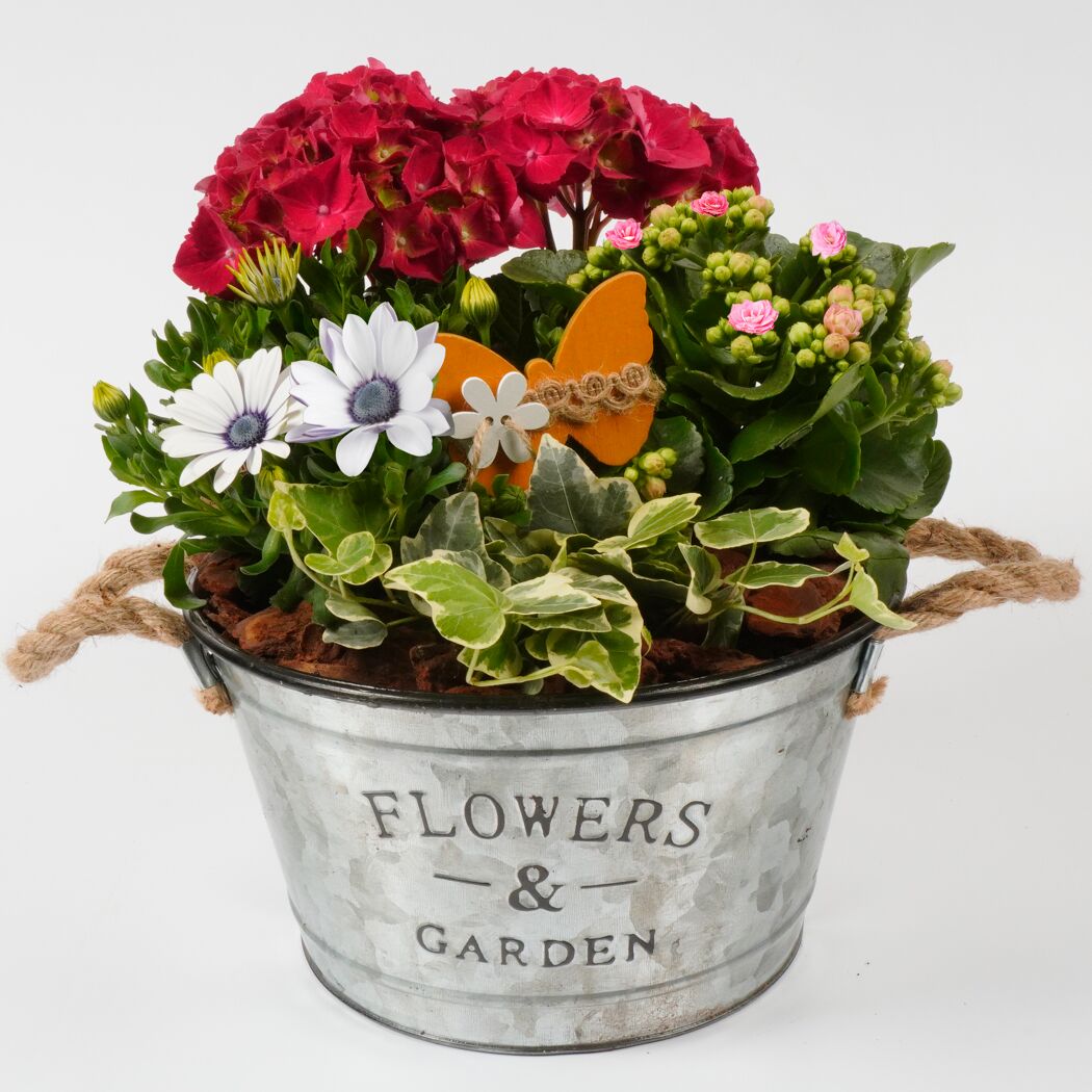 Blumen und Pflanzen in einem Zinktopf
