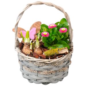 Frühlingspflanzen im Weidenkorb