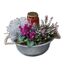 Grab-Arrangement Zinkschale mit Griffen, bepflanzt, Ø 23 cm