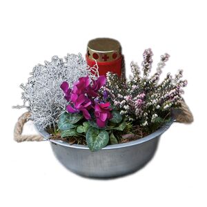 Grab-Arrangement Zinkschale mit Griffen, bepflanzt, Ø 23 cm