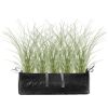 Calamagrostis x acutiflora 'Karl Foerster' in einem schwarzen Pflanzgefäß