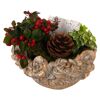 Schale bepflanzt 22 cm Topf