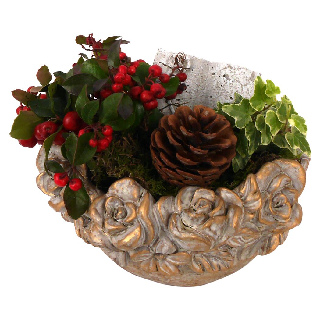 Schale bepflanzt 22 cm Topf