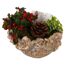 Schale bepflanzt 22 cm Topf