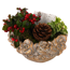 Schale bepflanzt 22 cm Topf