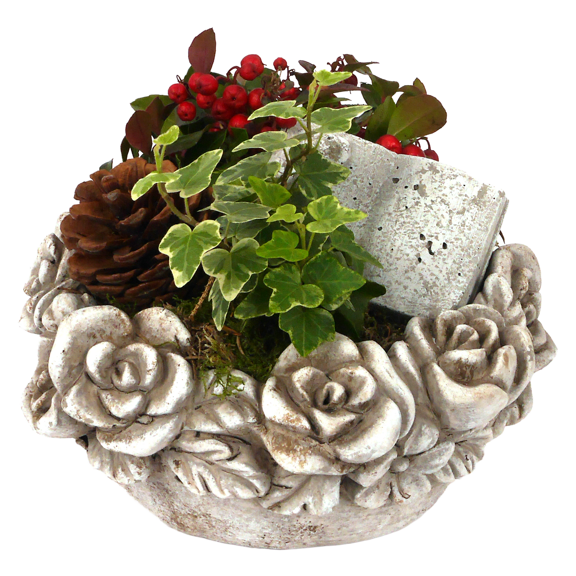 Schale bepflanzt 22 cm Topf
