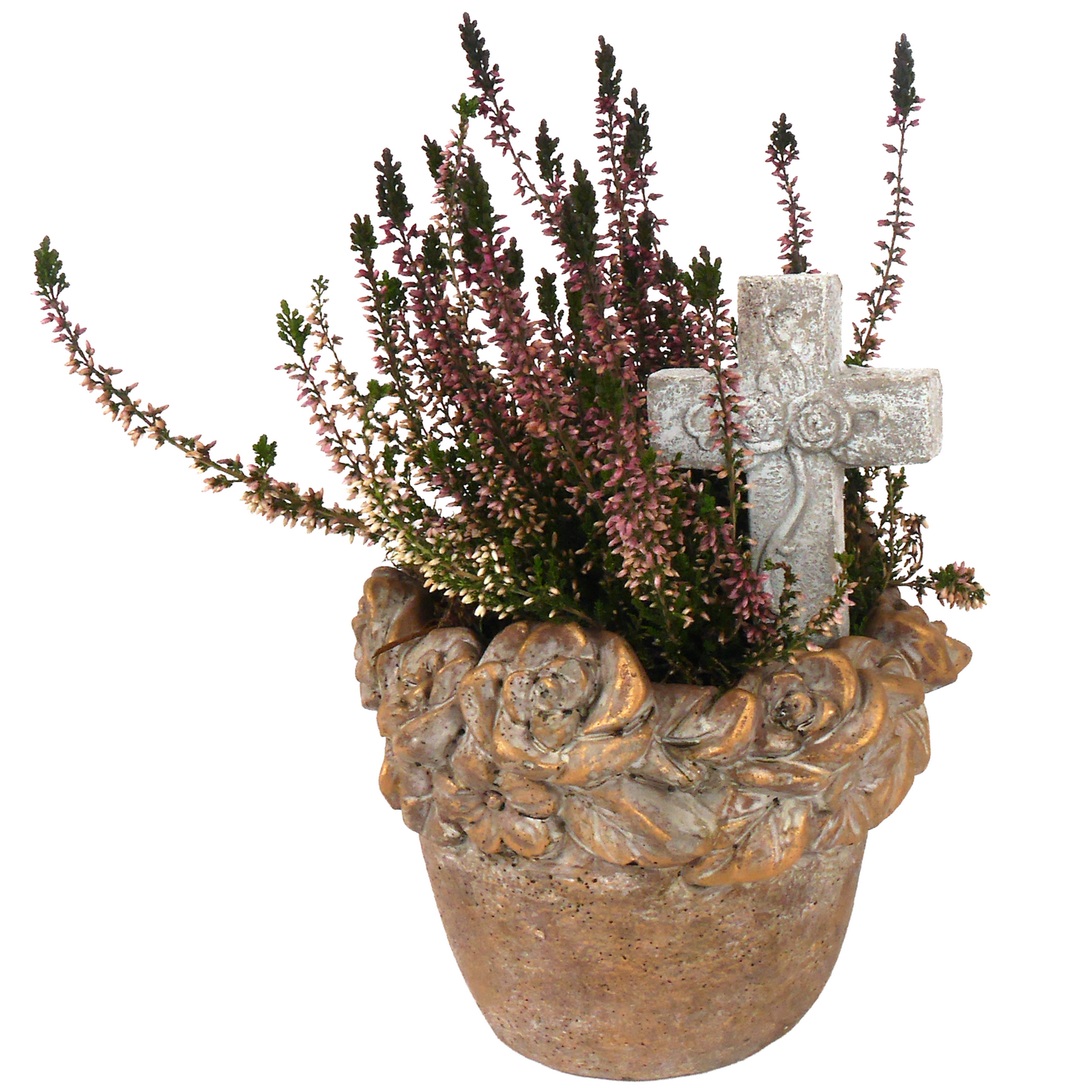 Schale bepflanzt 16 cm Topf