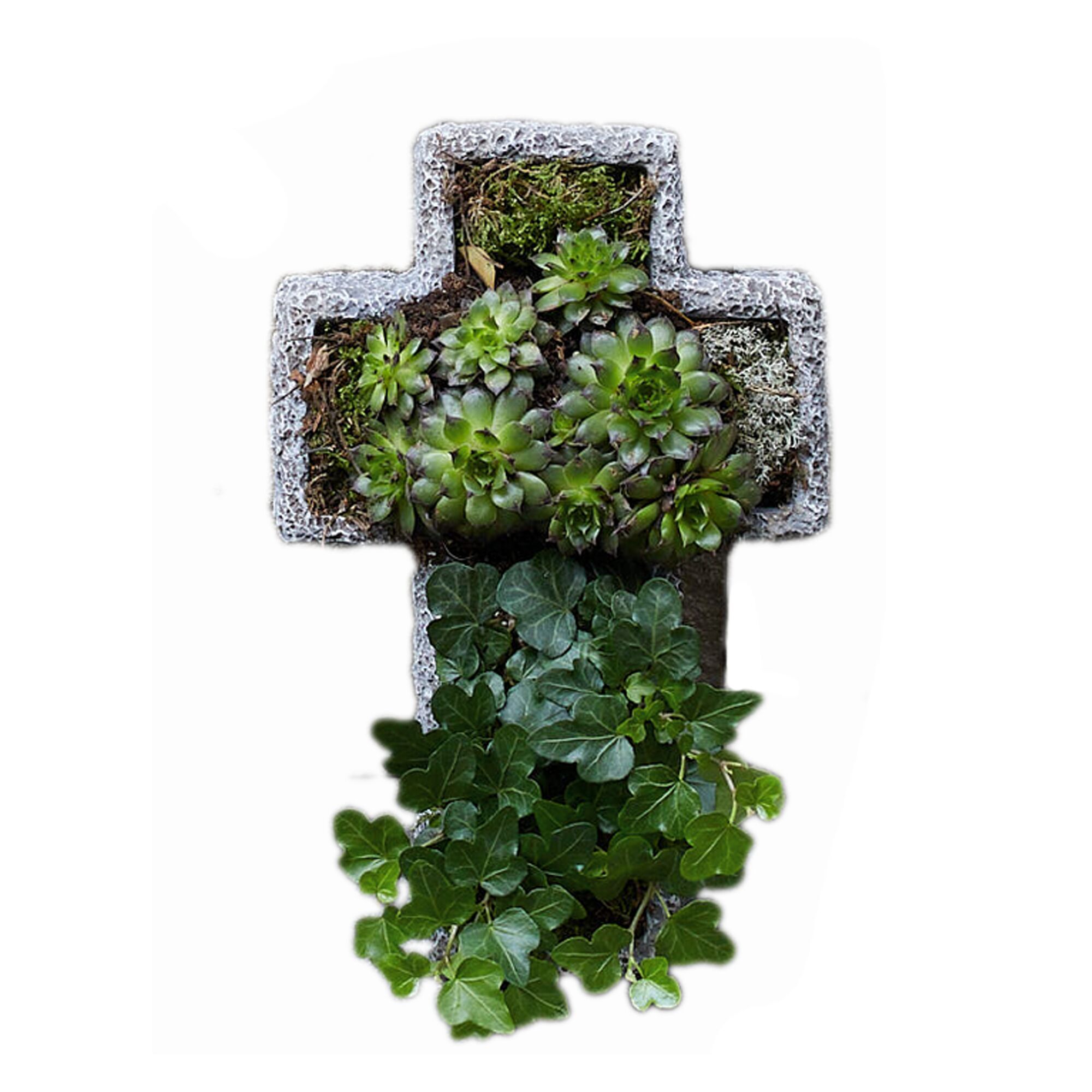 Kreuzförmiger Blumentopf bepflanzt mit Sukkulenten und Efeu