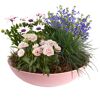 Bepflanzte Zinkschale 30 cm