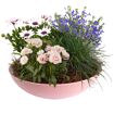 hauptbild