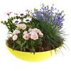 Bepflanzte Zinkschale 30 cm