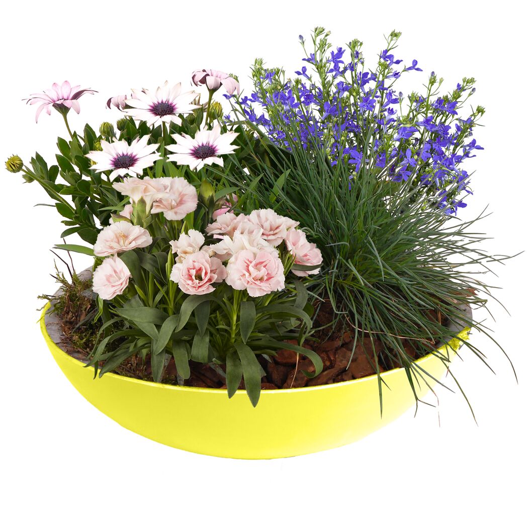 Bepflanzte Zinkschale 30 cm