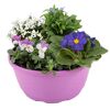 Frühlingsblumen im Topf