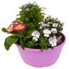 Frühlingshafte Blumenschale