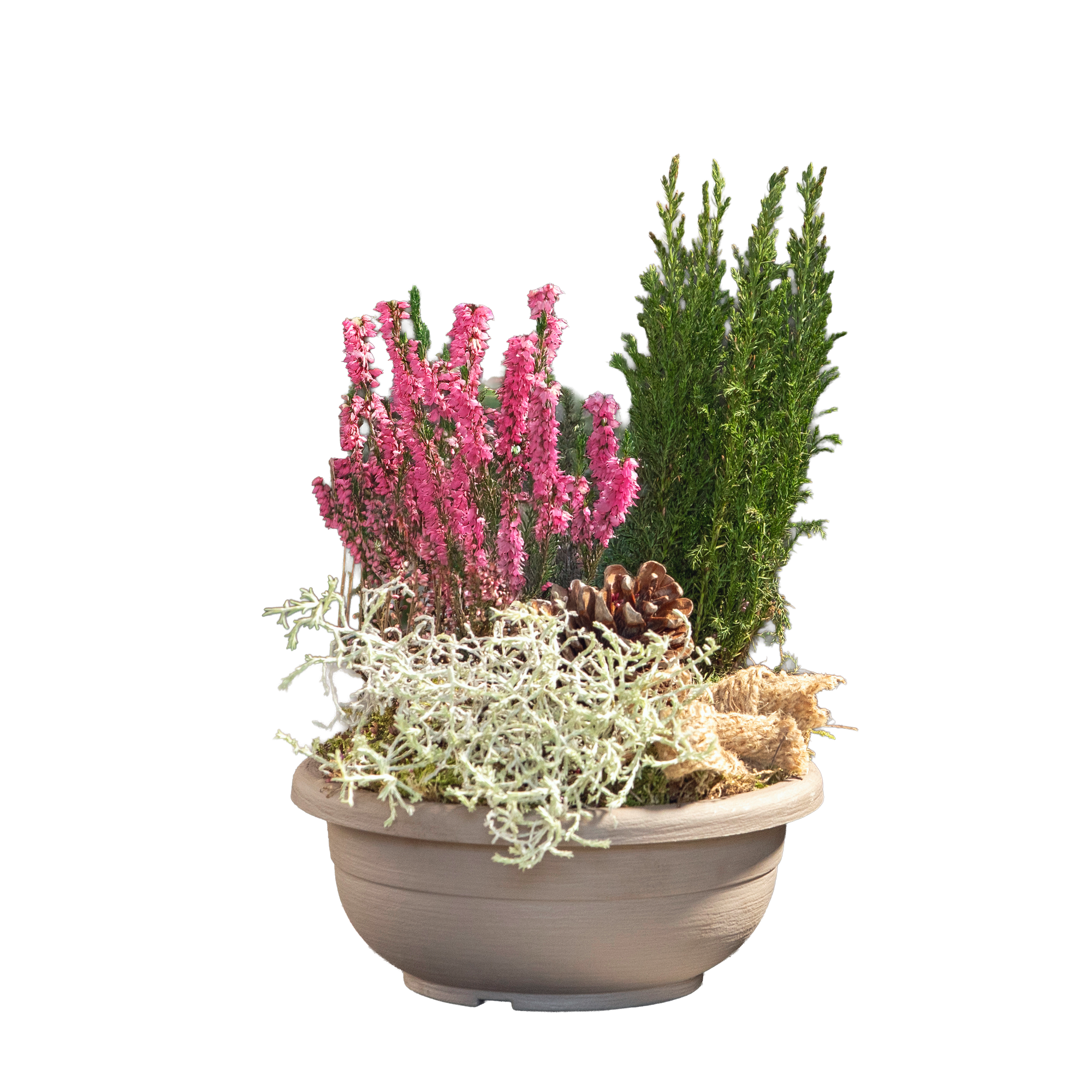 Bepflanzte Grabschale Kunststoff 20 cm Topf