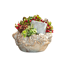 Bepflanzte Grabschale Kunststoff 20 cm Topf