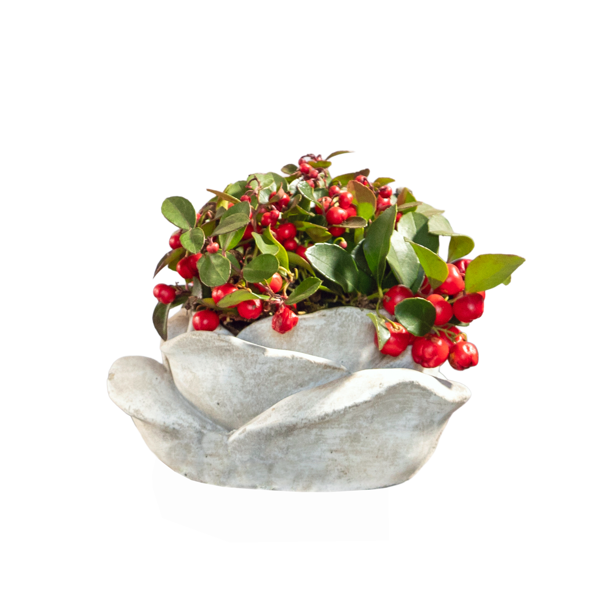 Bepflanzte Grabschale Kunststoff 20 cm Topf