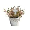 Bepflanzte Grabschale Kunststoff 20 cm Topf