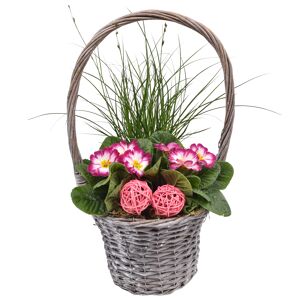 Henkelkorb bepflanzt mit Frühjahrspflanzen 25 cm