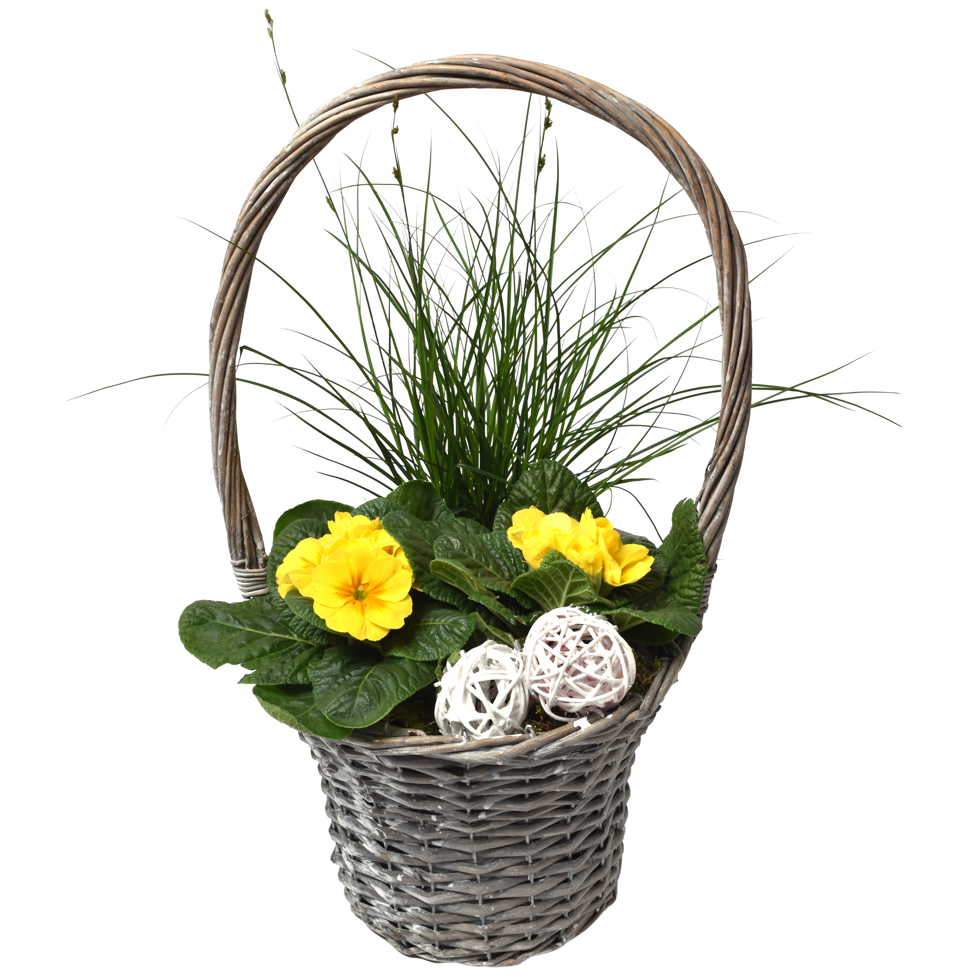 Henkelkorb bepflanzt mit Frühjahrspflanzen 25 cm