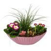 hauptbild