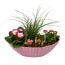 Bepflanztes Schiffchen Frühling 36 cm Topf