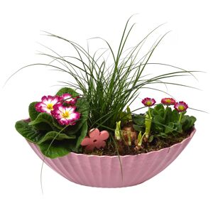 Bepflanztes Schiffchen Frühling 36 cm Topf