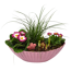 Bepflanztes Schiffchen Frühling 36 cm Topf