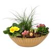 Bepflanztes Schiffchen Frühling 36 cm Topf