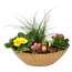 Bepflanztes Schiffchen Frühling 36 cm Topf