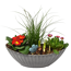 Bepflanztes Schiffchen Frühling 36 cm Topf