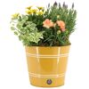 Blumentopf mit Lavendel und anderen Pflanzen