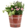 Blumentopf mit verschiedenen Blumen und Efeu