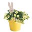 Gelber Topf mit gelben Blumen und einem Hasen