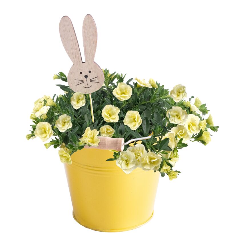 Gelber Topf mit gelben Blumen und einem Hasen