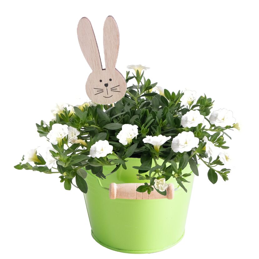 Blumentopf mit weißen Blüten und Holzhase