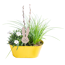 Pflanzen in Zink-Jardiniere 23 cm