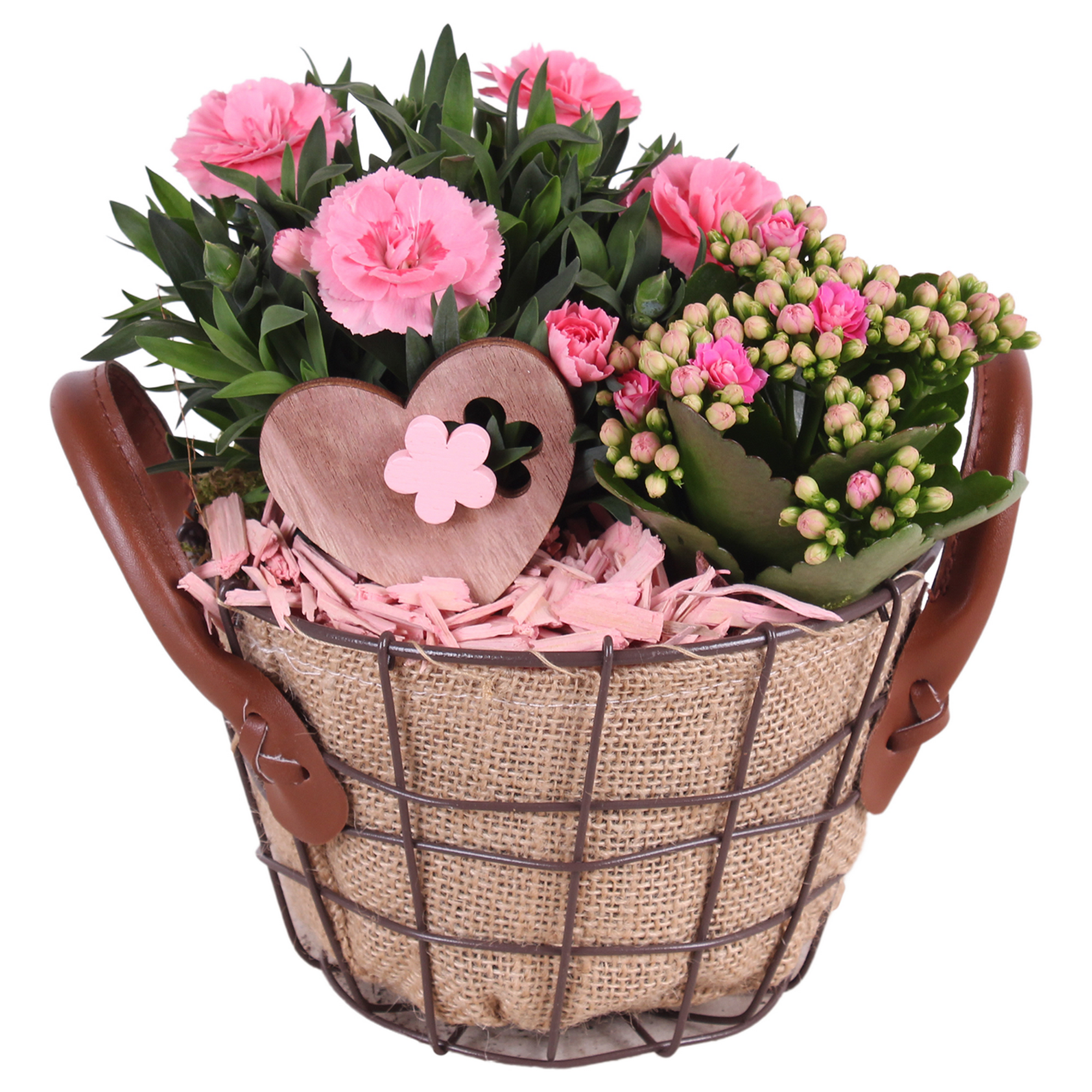 Drahtkorb mit 2 Pflanzen Jute Ledergriffe Herz-Deko 17 cm Topf
