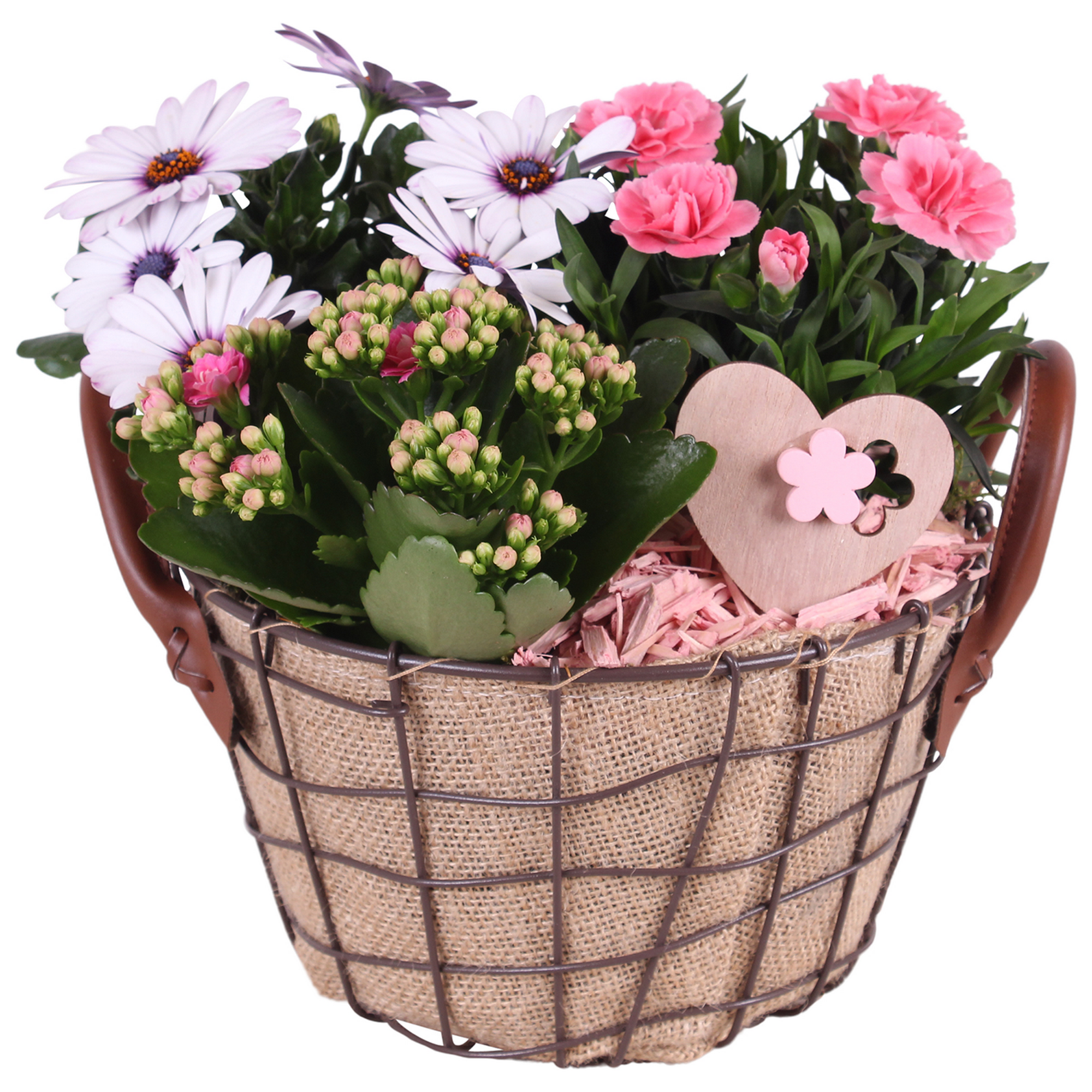 Drahtkorb mit 3 Pflanzen Jute Ledergriffe Herz-Deko 21 cm Topf